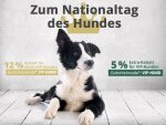 nationaltag des hundes pets premium 2017