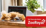 zooroyal katze auf laptop 150x92 1503155448
