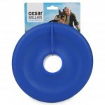 cesar millan disk blau zooroyal