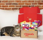 vivacats wertgutschein groupon 150x138 1505993324
