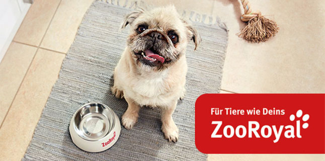 zooroyal hund mit logo