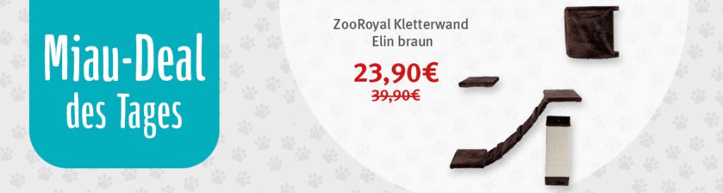 zooroyal miau deal kletterwand elin braun