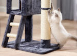 fressnapf rabatt krallen kratzbaum katze