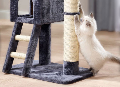 fressnapf rabatt krallen kratzbaum katze
