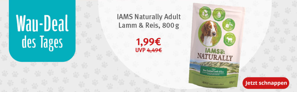 zooroyal wau deal iams 800 g fuer 1 99