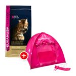 Eukanuba Katzenzelt fressnapf