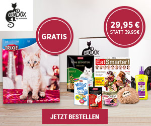 catbox by animonda 10 euro rabatt gratis adventskalender