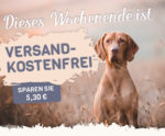 dieses wochenende ist vsk frei alsa hundewelt 11 17