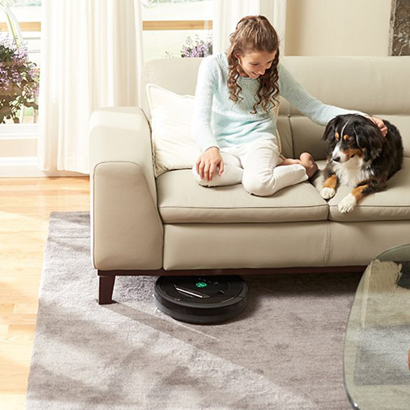 irobot roomba 875 hund sofa