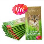 premium katzengras samen pretty kitty 10 packungen