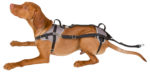 trixie travel protect sicherheitsgeschirr auto
