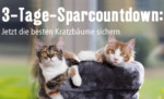 KW08 72 Std Sale Kratzbaeume V2 hb LP D 100 150x91 1519411124