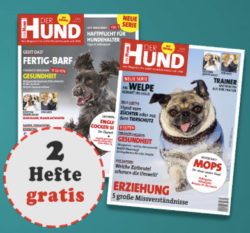 der hund 2 ausgaben gratis e1520434093571