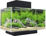 fluval edge i hornbach