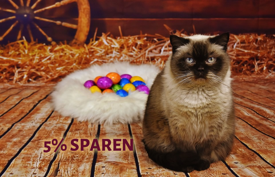 katzenkontor ostern 5 prozent gutschein