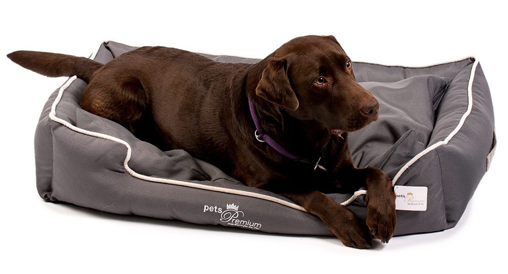pets premium hundebett classic gr l mit hund e1522226470286