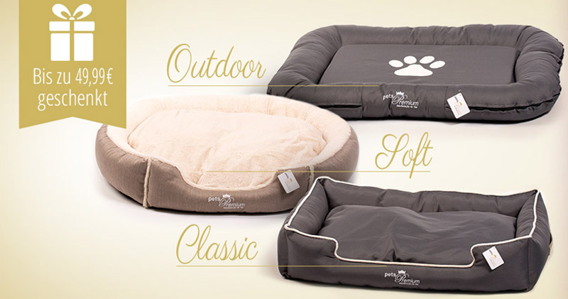 petspremium hundebett geschenkt ab 100 euro einkaufswert