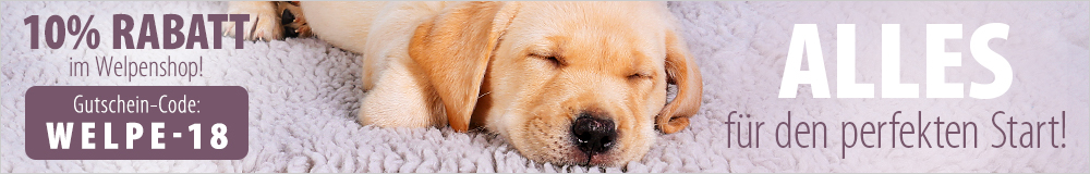 zooplus puppy week 10 prozent banner