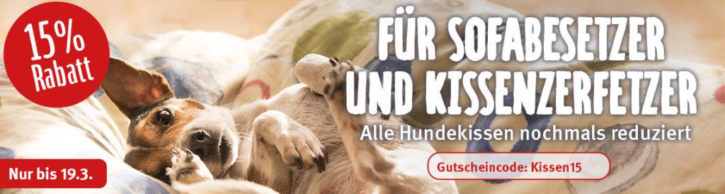 zooroyal hund hundekissen 15prozent lpv1140x305 2426