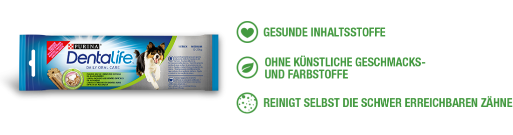 DentalifeGratis