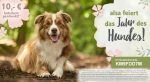 alsa jahr des hundes 20180408