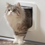 fressnapf katzenklappe gutschein e1523261799401