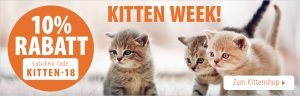 kitten week slider zoooplus