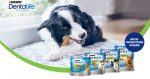 purina dentalife snack gratis
