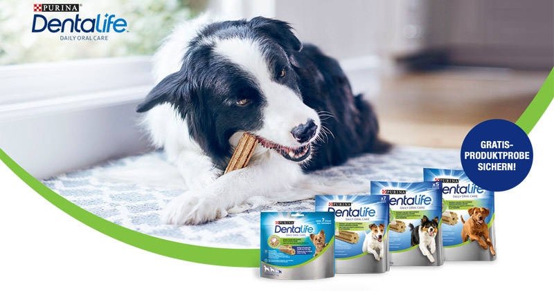 purina dentalife snack gratis