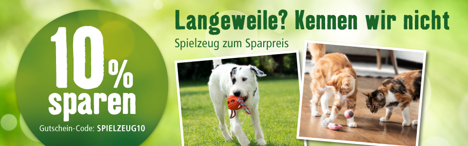 KW22 Spielzeug Gutschein Hund u Katze hb LP D 100