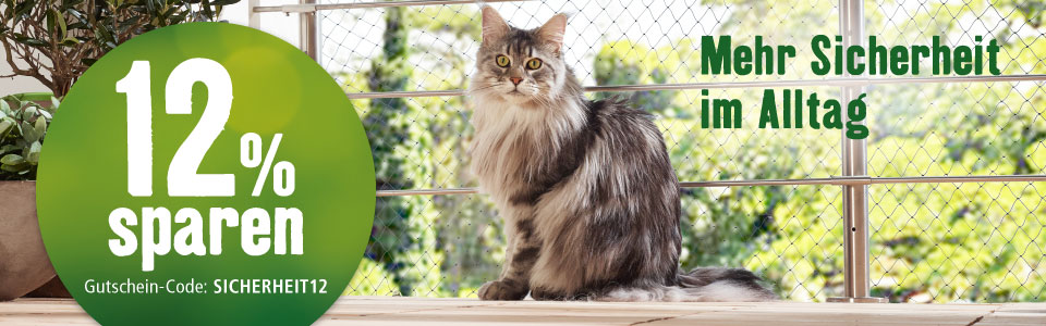 KW24 Sicherheit im Alltag Katze hb LP D 100