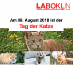 Flyer Tag der Katze 98x 210 2018 DE e1531573383474