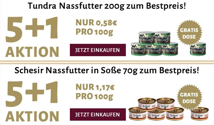 5plus1 gratis tundra schesir katzenkontor