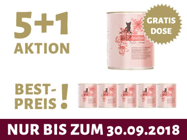 catz finefood 800g aktion