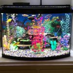 nicrew aquarien beleuchtung led amazon