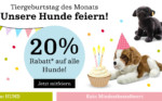 0924 tiergeburtstag10 2360x1000px xx 150x93 1538839123