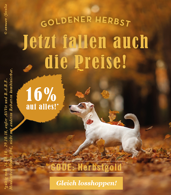 terra canis 16 prozent auf alles herbst 18