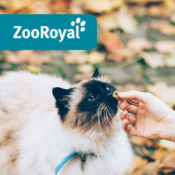 zooroyal katze leckerli herbst logo