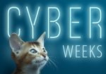 2018 11 Cyberweek 1000x320 DE e1542526766601