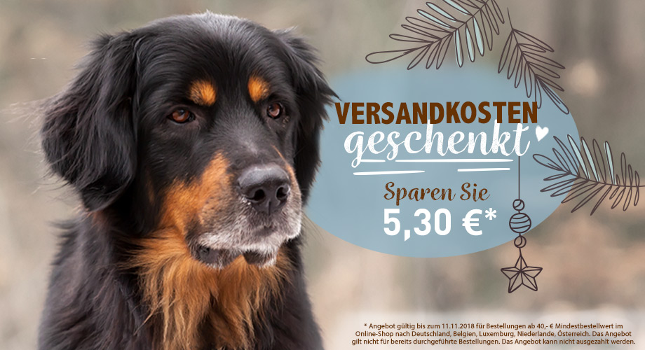 versandkostenfreie lieferung ab 40 euro alsa hundewelt