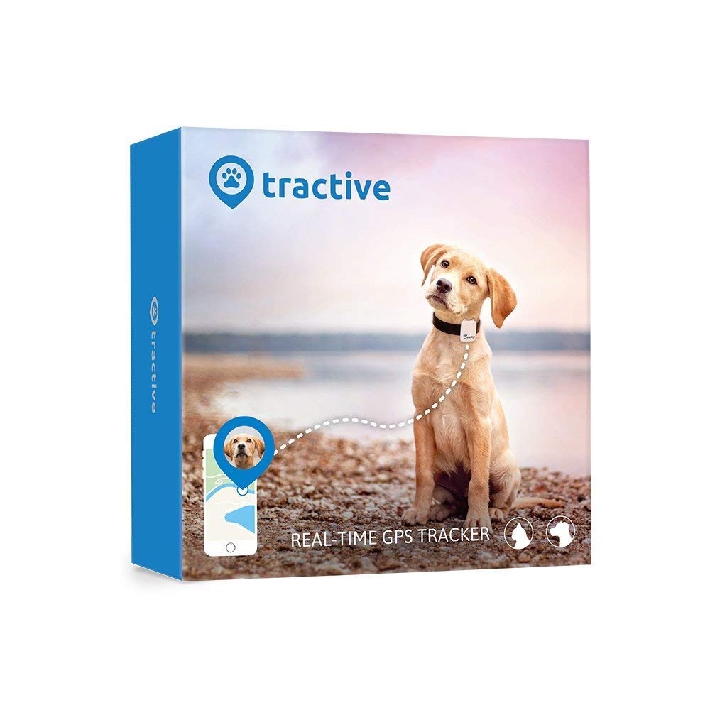 tractive gps tracker hund amazoin