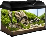 diversa aquariumset startup schwarz 50 seite