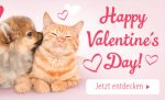 2019 01 ValentinesDay Freebie 1000x320 DE e1549977842834