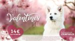 home valentines day 20190208 alsa hundewelt