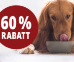 pets premium futter kurze mhd newsletter 150x127 1549193182