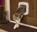 petsafe mikrochip katzenklappe amazon e1549298685644 150x130 1549298703