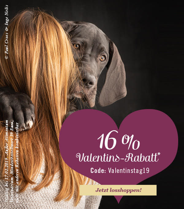 terra canis valentinstag19