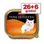 173267 animondavomfeinsten 26 6 5