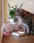 mjamjam katze facebook 15 prozent gutschein 03 19