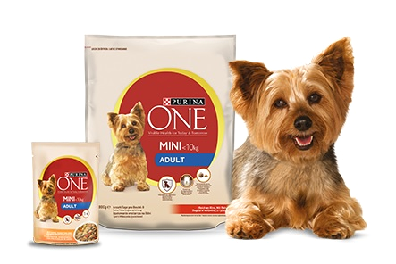 Gratis Testen Purina One Mini Hundefutter 900 G Trockenfutter Und Oder 100 G Nassfutter Bei Fressnapf Oder Dm Kaufen Und Geld Zuruckerhalten Sparpfoten De